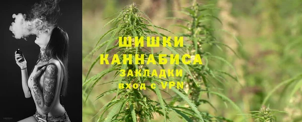 амф Инта