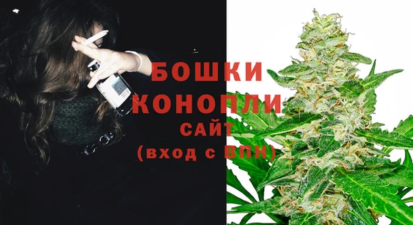 амф Инта